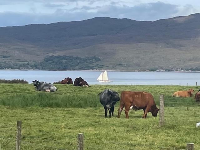 Plockton, Camus Fearn Barn Exterior foto